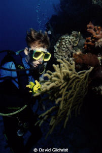 My son, Andrew,examines a coral branching from the wall. ... by David Gilchrist 